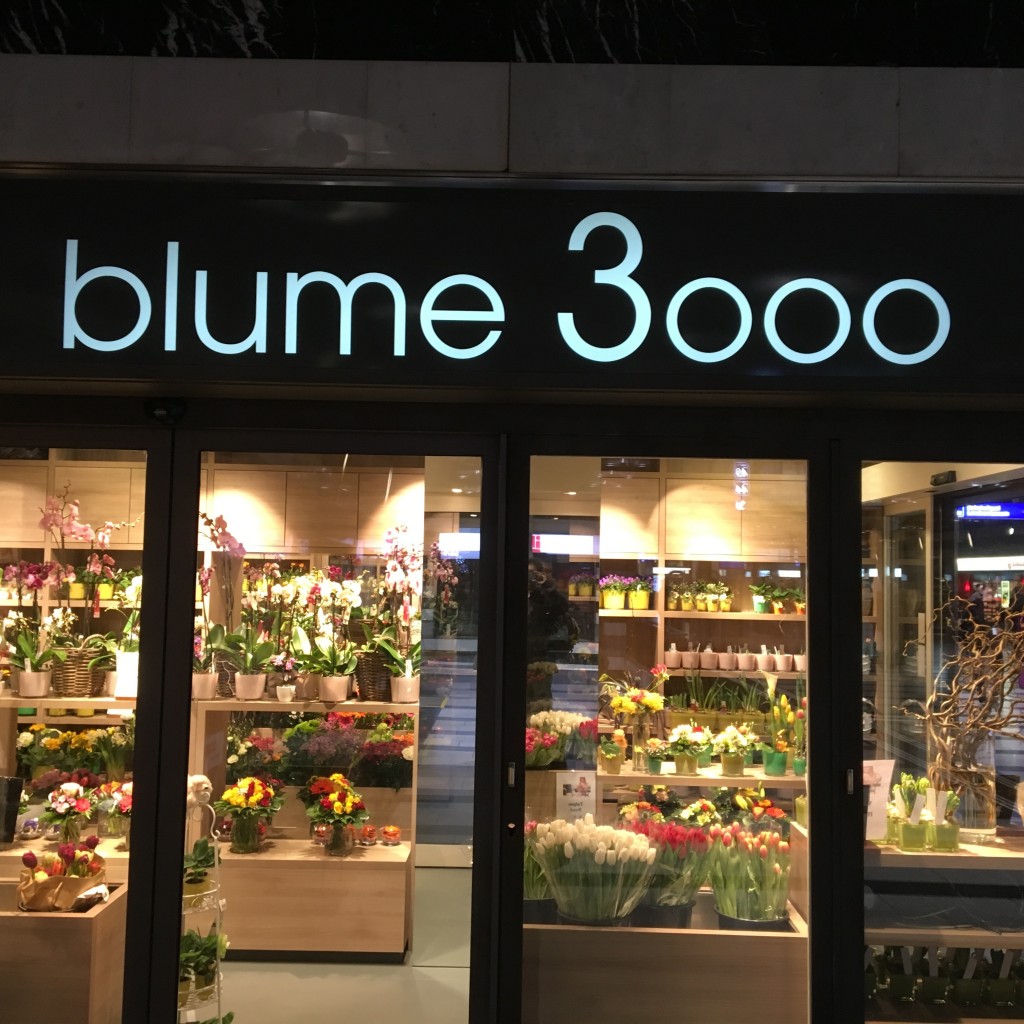 blume 3000.